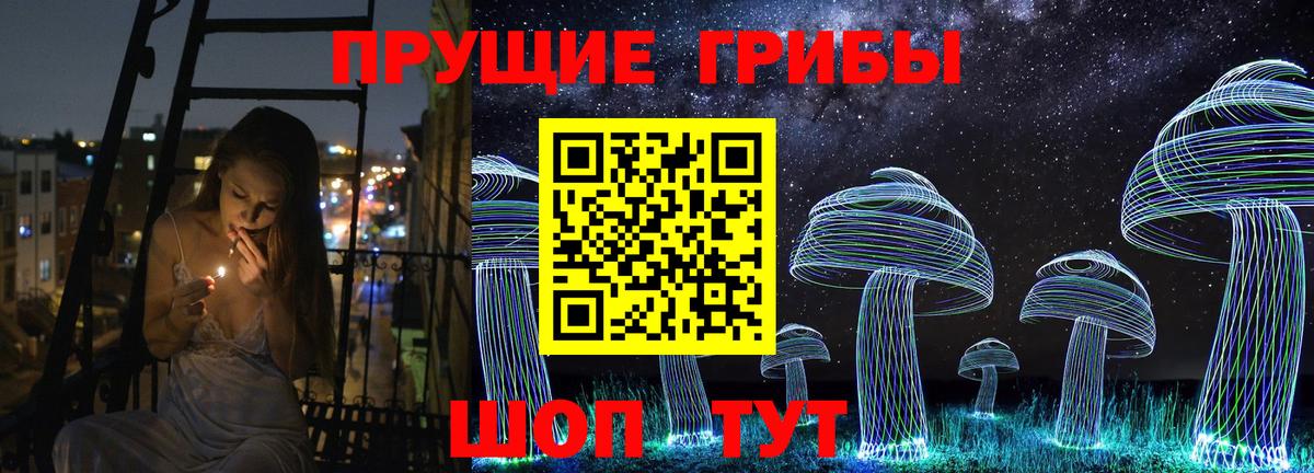 Псилоцибиновые грибы прущие грибы Симферополь