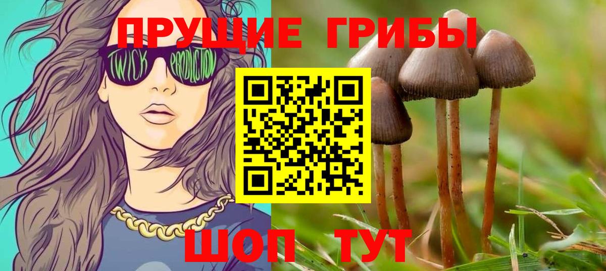 Псилоцибиновые грибы прущие грибы  Псилоцибиновые грибы мицелий  Вход с VPN  Симферополь 